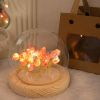 Tulip Night Light DIY Handmade lamp Tulip Flowers Lamp Heat Shrinkable Film Home Room Decor Exquisite Gift For Mother Girlfriend - 16 Flowers - CN
