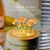 Tulip Night Light DIY Handmade lamp Tulip Flowers Lamp Heat Shrinkable Film Home Room Decor Exquisite Gift For Mother Girlfriend - 16 Flowers - CN