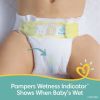 Pampers Swaddlers Hypoallergenic Soft Diapers - Size 1, 164 Count - Pampers